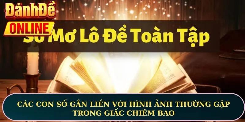 Các con số gắn liền với hình ảnh thường gặp trong giấc chiêm bao