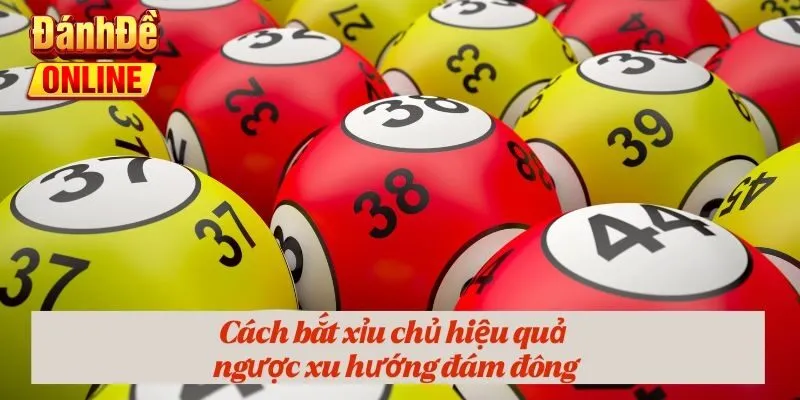 Cách bắt xỉu chủ hiệu quả ngược xu hướng đám đông