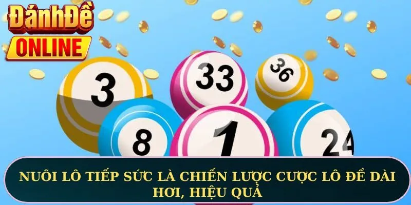 Nuôi lô tiếp sức là chiến lược cược lô đề dài hơi, hiệu quả
